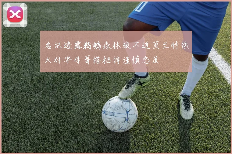 名记透露鹈鹕森林狼不追莫兰特热火对字母哥搭档持谨慎态度