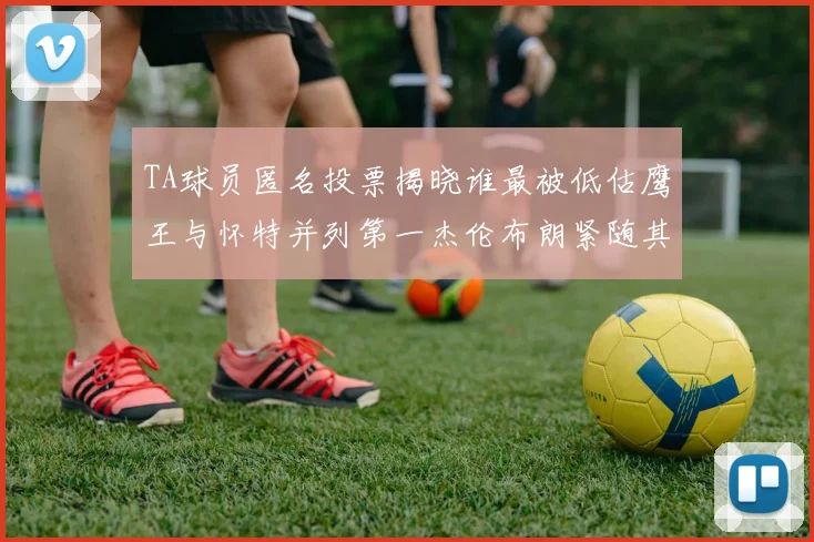 TA球员匿名投票揭晓谁最被低估鹰王与怀特并列第一杰伦布朗紧随其后