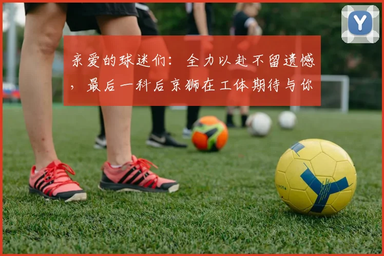 亲爱的球迷们：全力以赴不留遗憾，最后一科后京狮在工体期待与你相聚