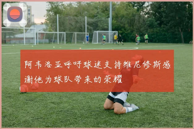 阿韦洛亚呼吁球迷支持维尼修斯感谢他为球队带来的荣耀